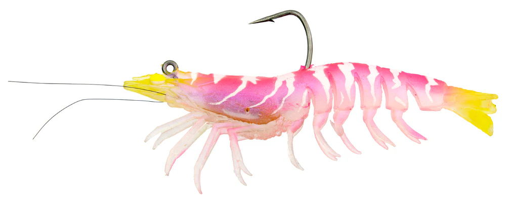 Zerek Absolute Shrimp - Image 10