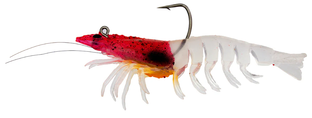 Zerek Absolute Shrimp - Image 6