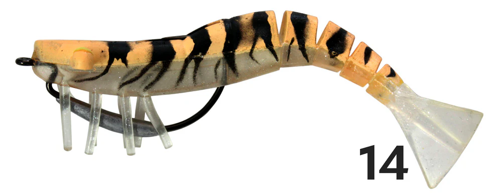 Zerek Live Shrimp - Image 10