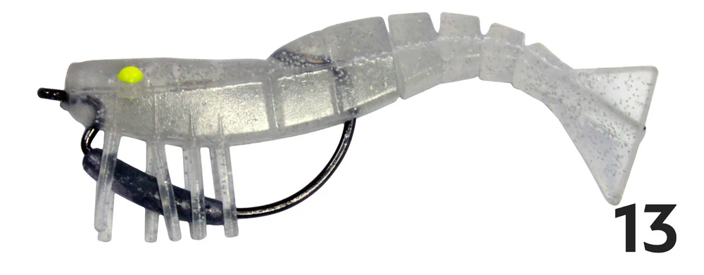 Zerek Live Shrimp - Image 11