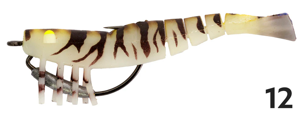 Zerek Live Shrimp - Image 12