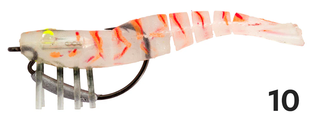 Zerek Live Shrimp - Image 14