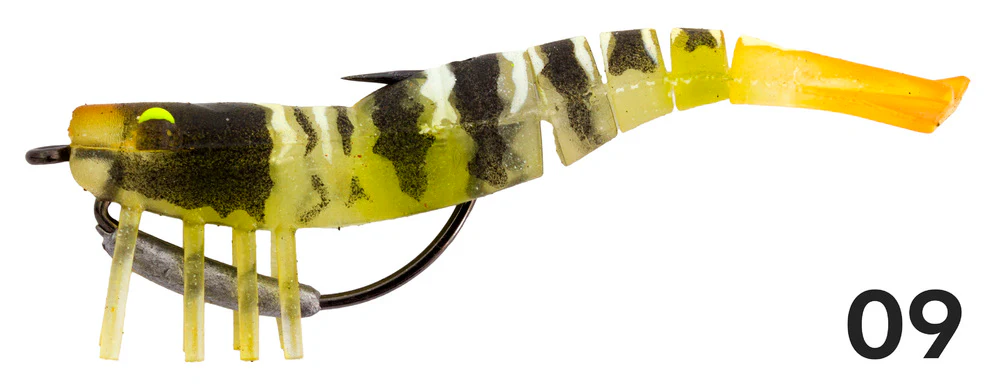 Zerek Live Shrimp - Image 15