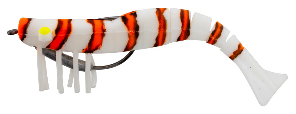 Zerek Live Shrimp - Image 25