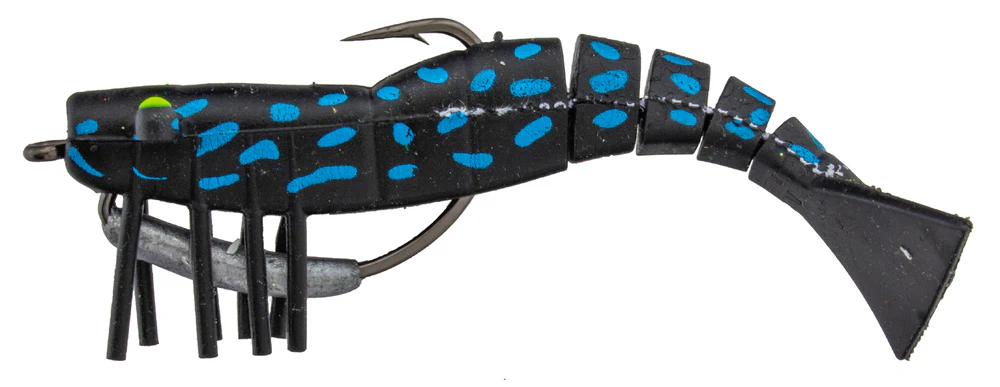 Zerek Live Shrimp - Image 5